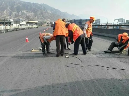 瑞安道路桥梁病害治理